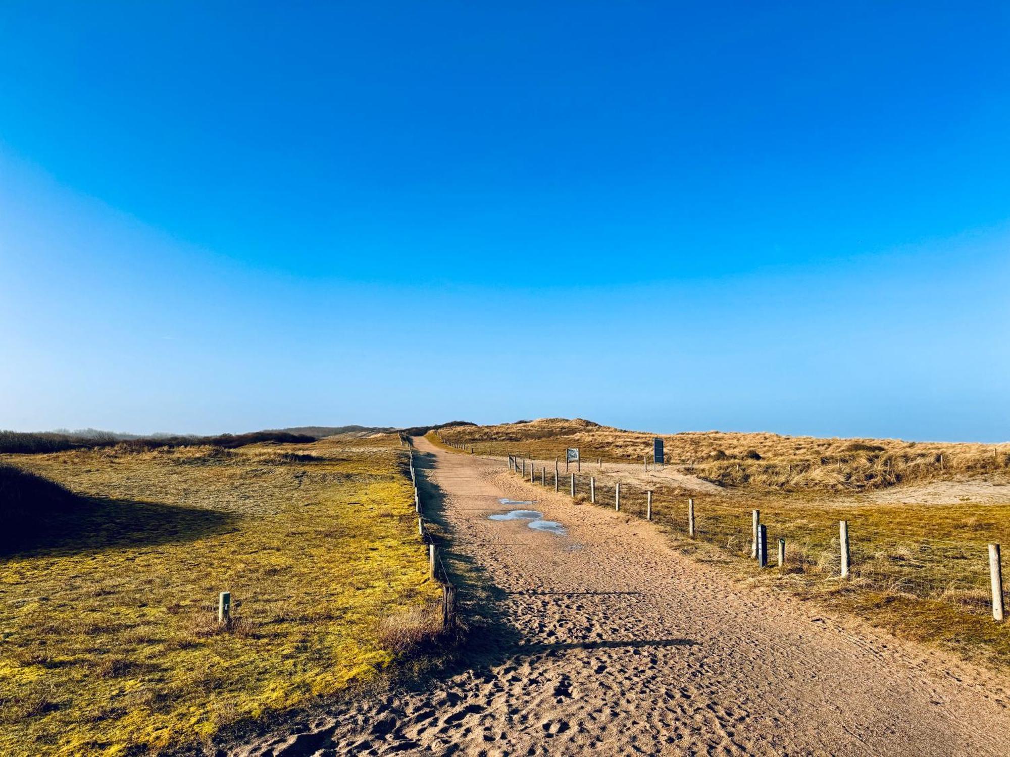 Beach & Forest Retreat -Domburg- Oostkapelle Kültér fotó