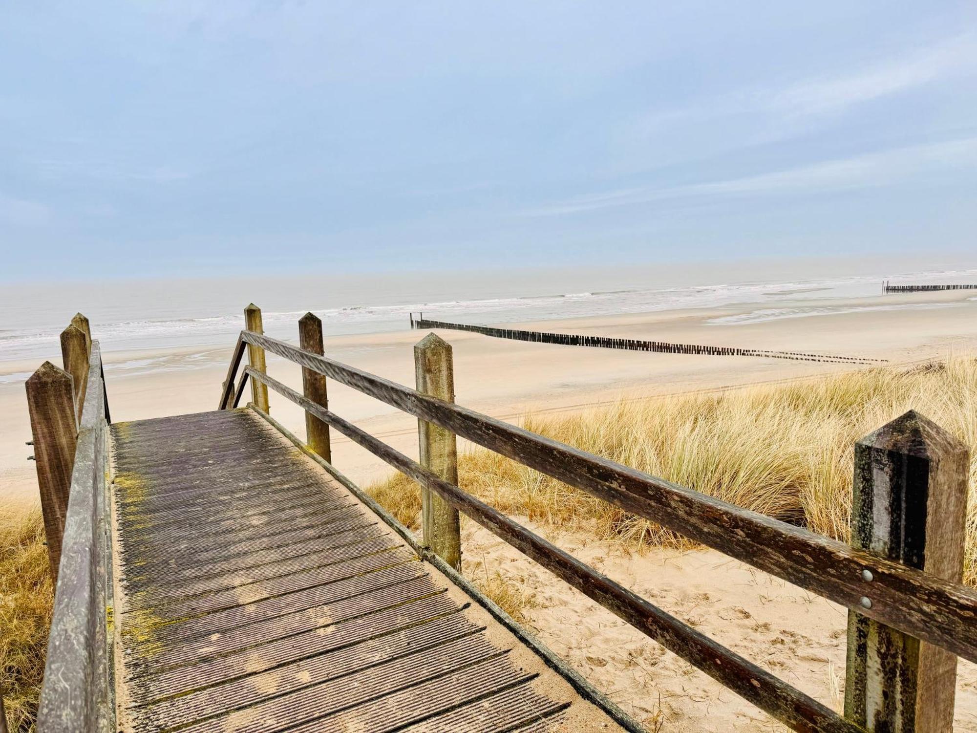 Beach & Forest Retreat -Domburg- Oostkapelle Kültér fotó