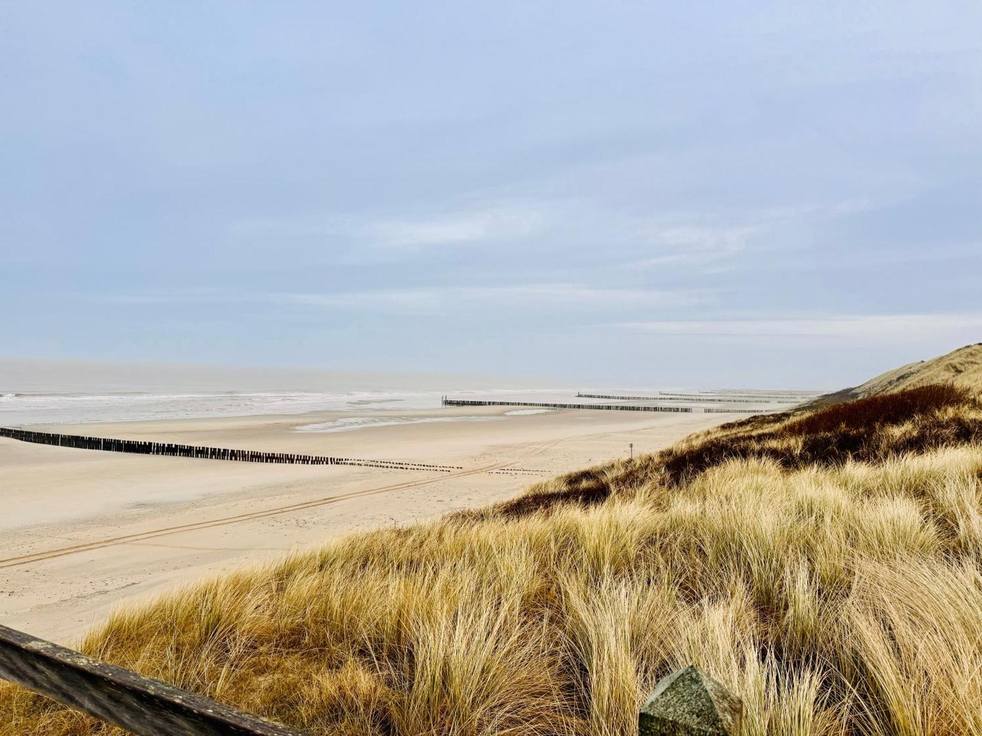 Beach & Forest Retreat -Domburg- Oostkapelle Kültér fotó