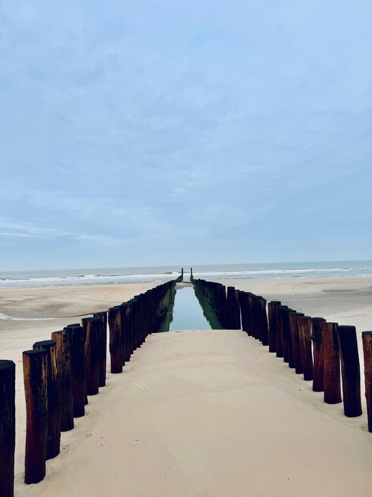 Beach & Forest Retreat -Domburg- Oostkapelle Kültér fotó