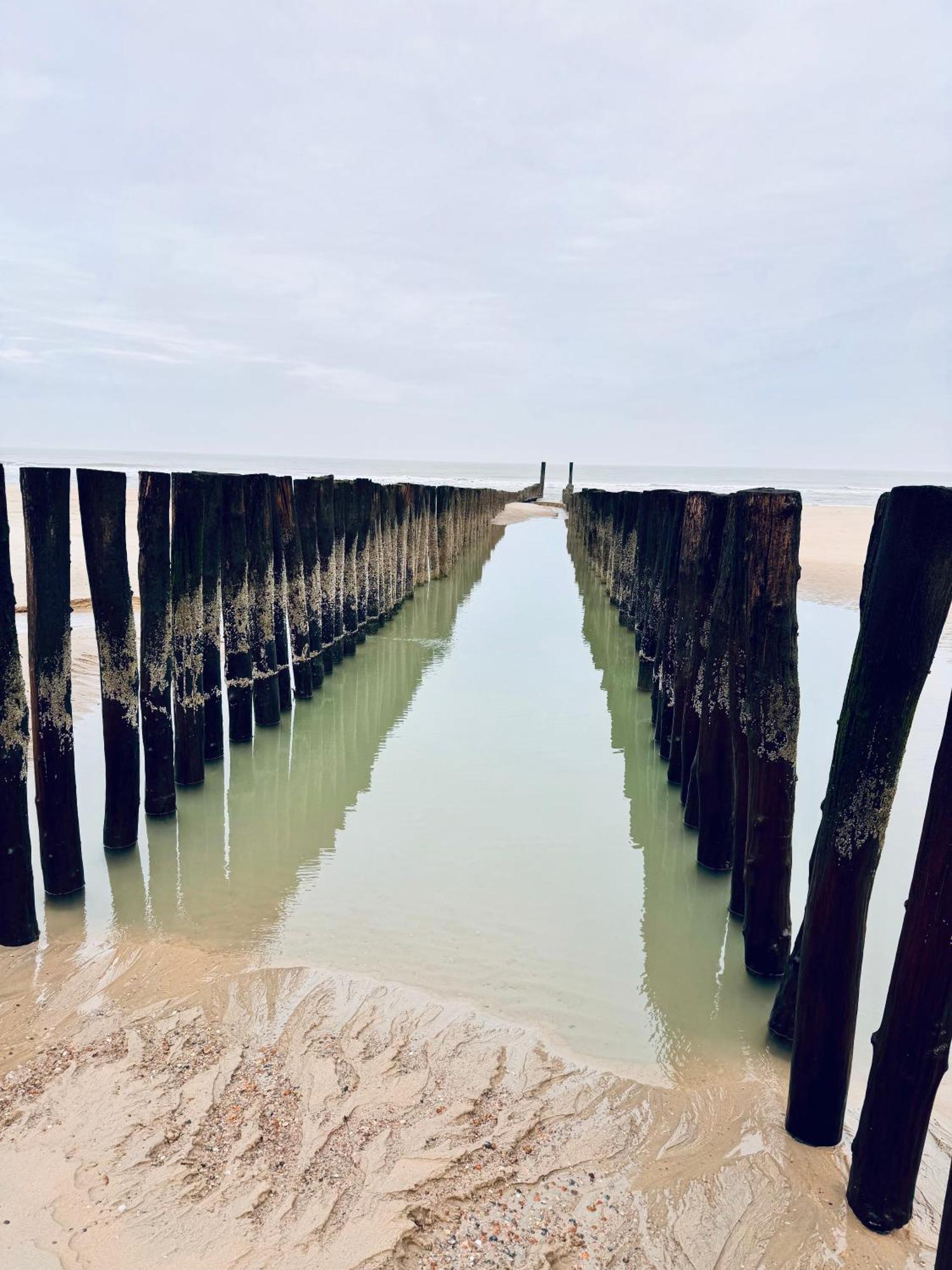 Beach & Forest Retreat -Domburg- Oostkapelle Kültér fotó