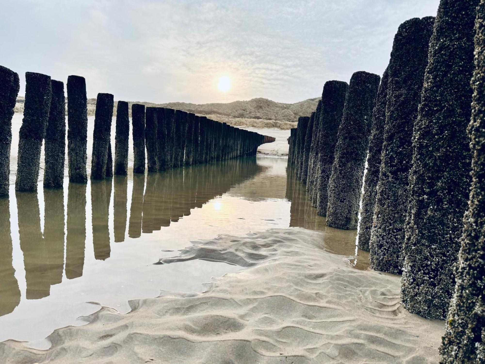 Beach & Forest Retreat -Domburg- Oostkapelle Kültér fotó